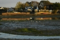 hayling island views landscape-025